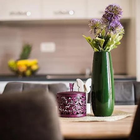 Appartement Brdar
